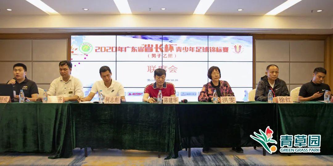 青草园足球直播官方网站，探索足球盛宴的新天地
