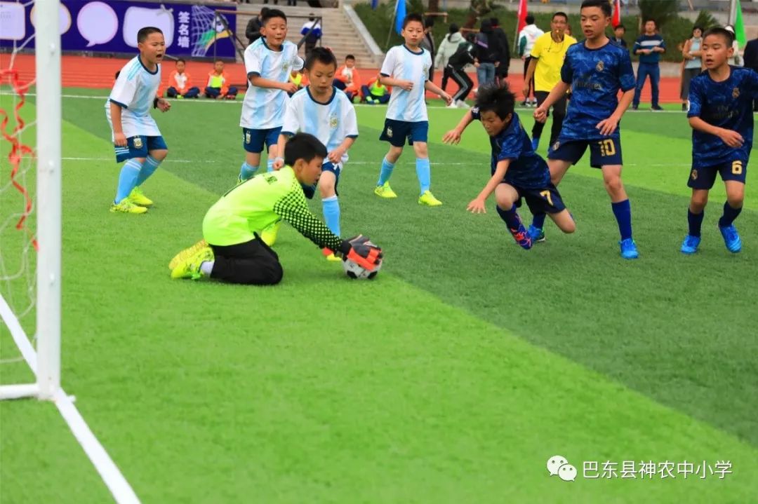 来凤小学生足球赛直播，激情与梦想的碰撞
