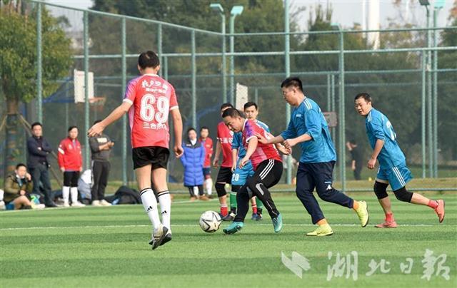 依阳足球队直播视频回放，热血赛事的再现与球迷的情感共鸣
