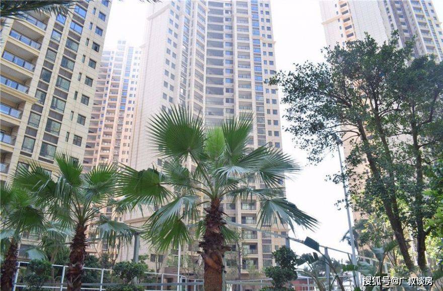 广州市坑口村足球直播间，活力四溢的体育文化新地标