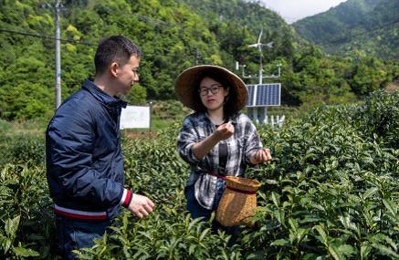 祁门足球直播网最新消息，点燃球迷激情的火热瞬间直播报道
