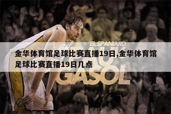 金唐宫足球比赛视频直播，一场文化与体育的盛宴