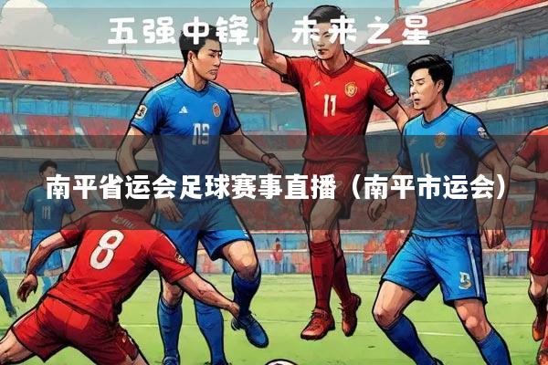 探寻延平足球直播，今日观看指南全解析