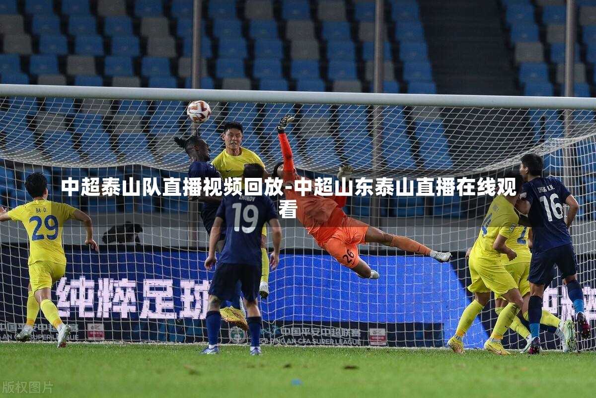 泰山队足球直播观看指南，实时掌握比赛动态，足球盛宴不容错过！